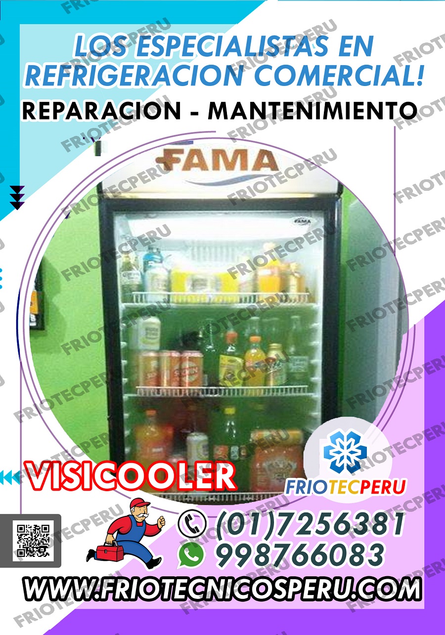 Visicoolers en problemas Soluciones extraordinarias 998766083